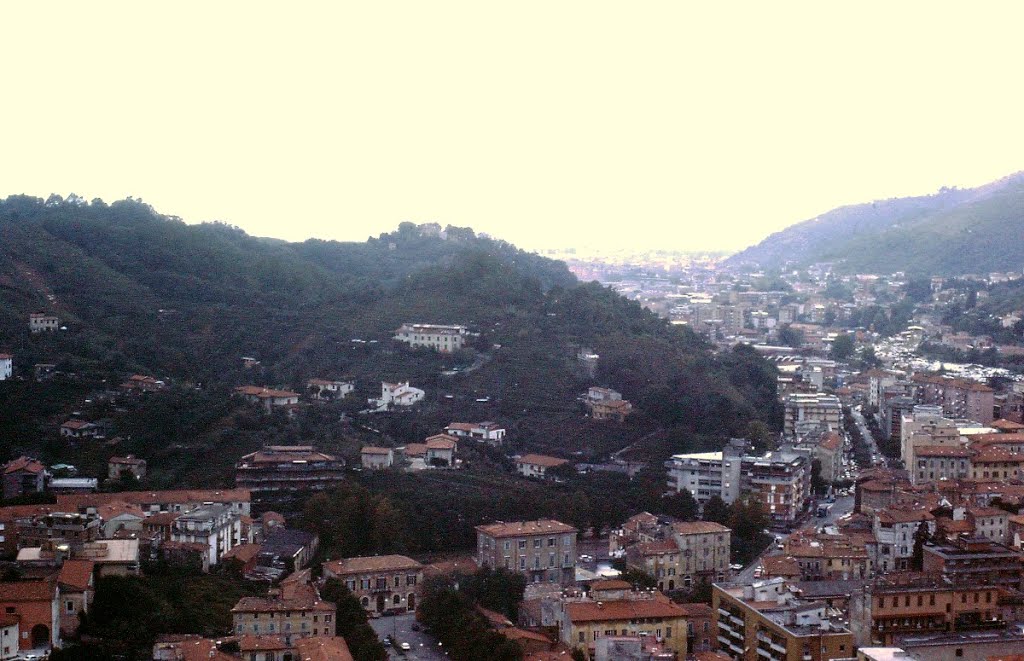GDA Vintage - Carrara - 1982