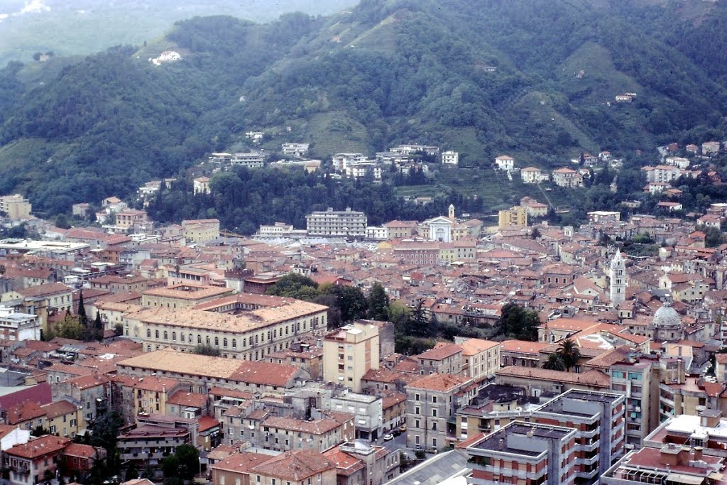 GDA Vintage - Carrara - 1982
