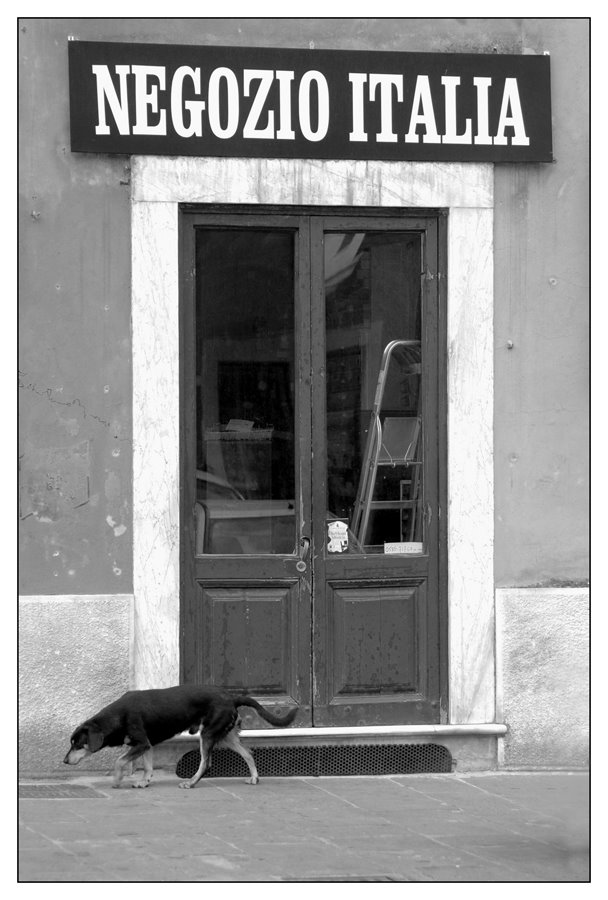 Carrara