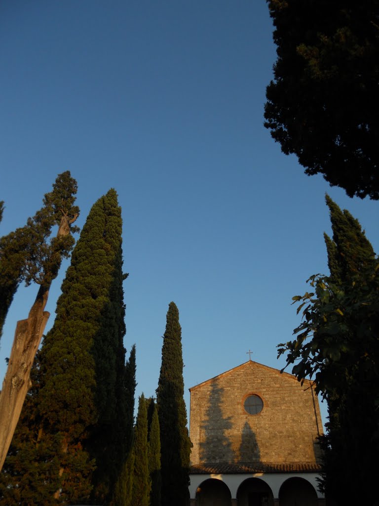 San Lucchese