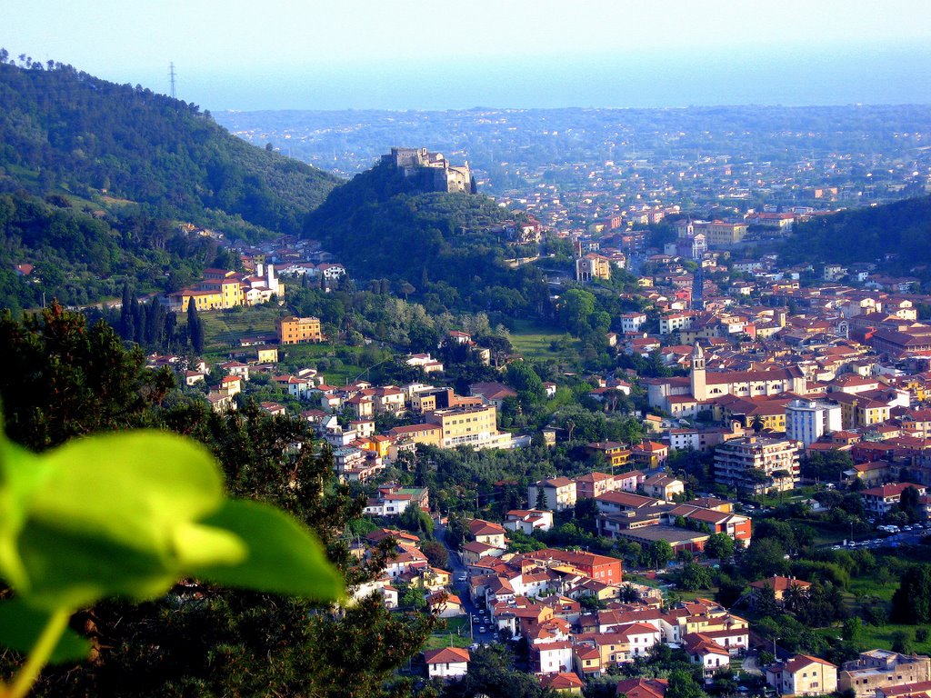 Panoramica di Massa dal versante Brugiana