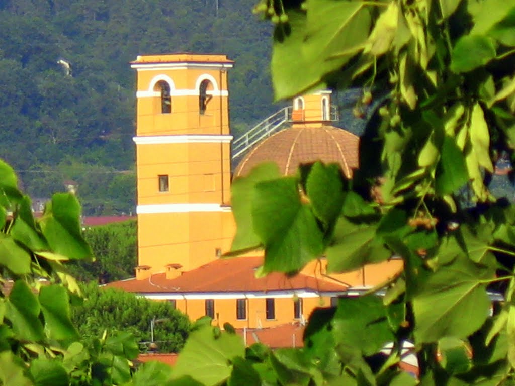 Massa, il santuario tra le foglie