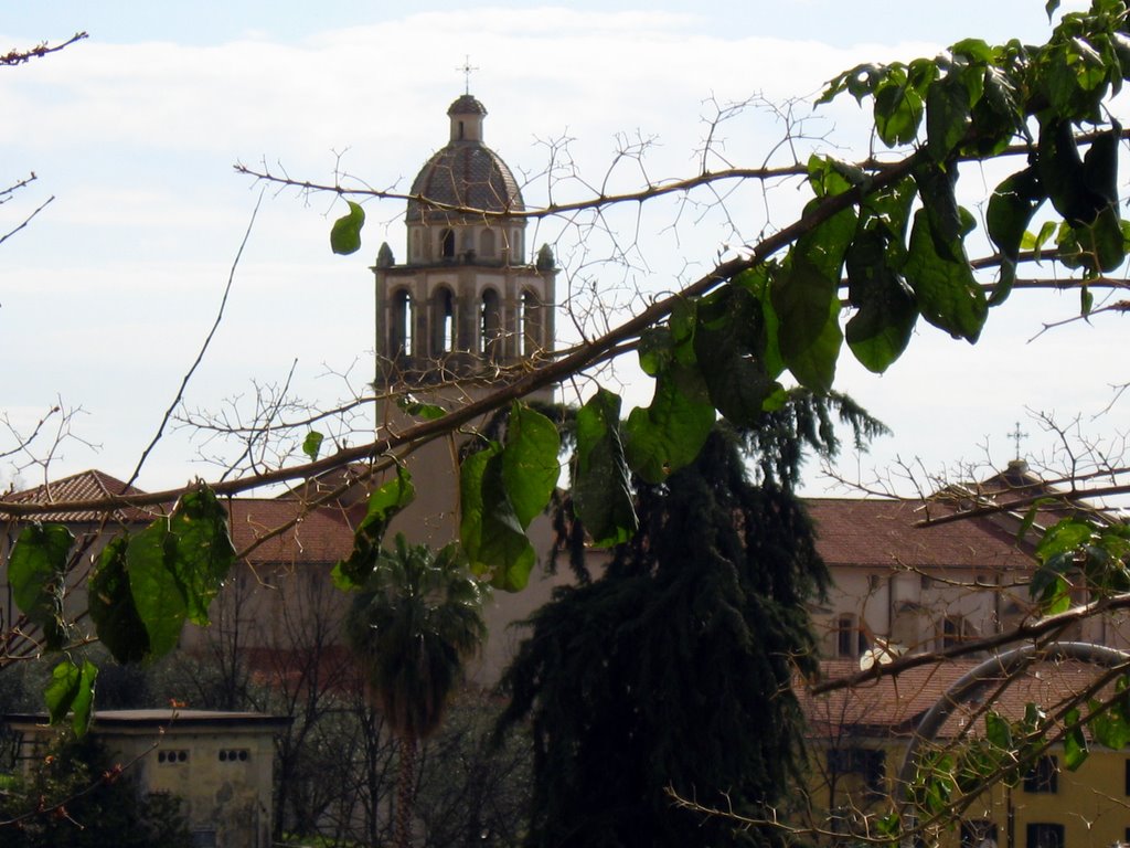 Duomo di Massa visto dai Cappuccini