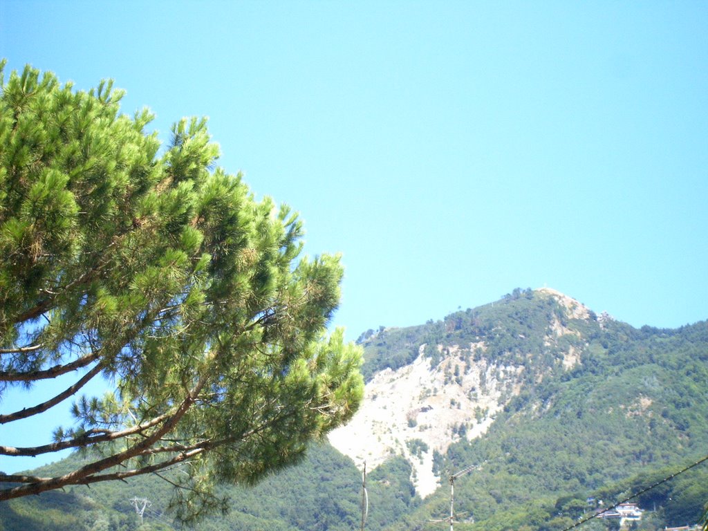 Vista sulla Brugiana