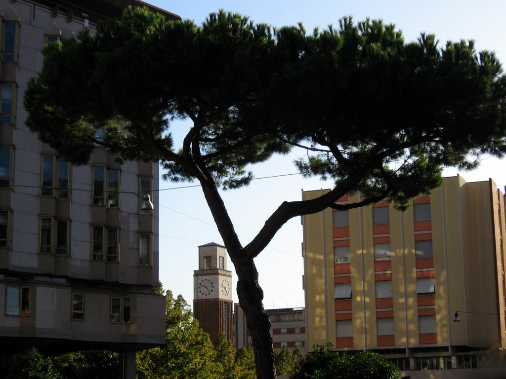 Massa, scorcio