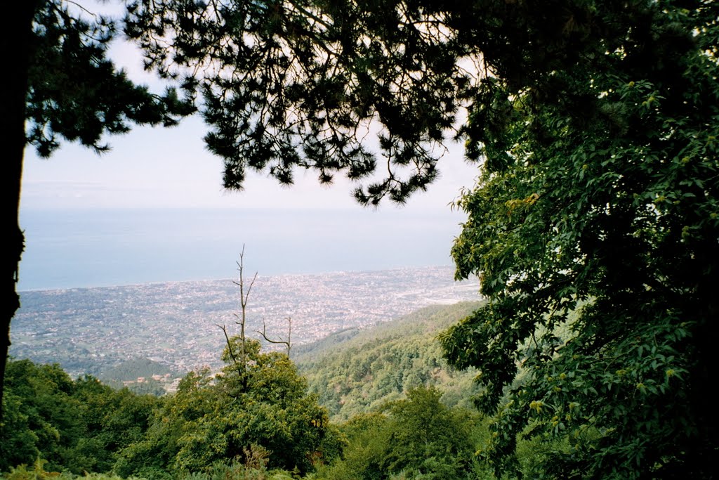 View on Massa