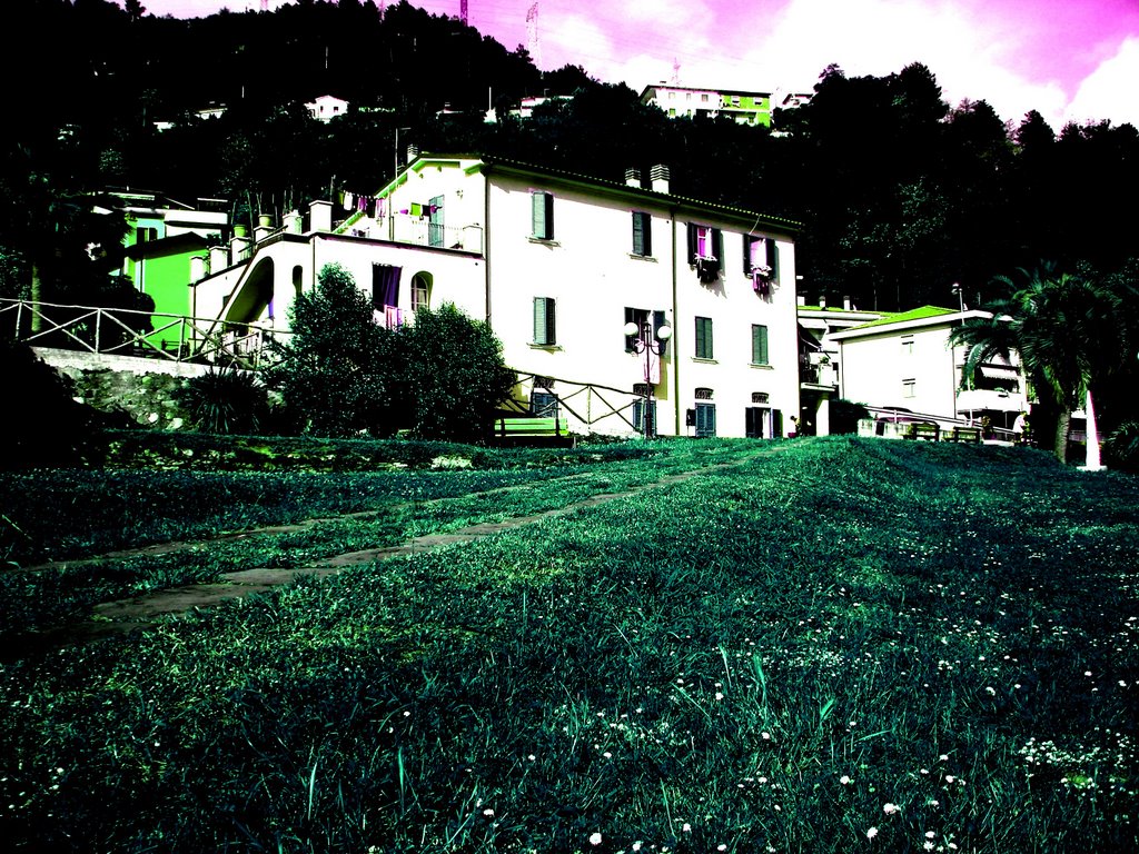 [Senza titolo]