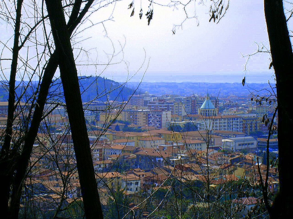 Panoramica Massa