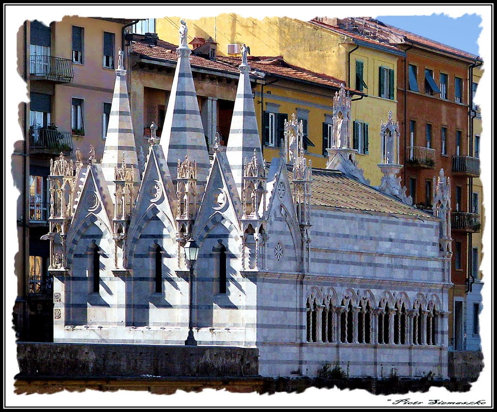 Pisa - Chiesa Santa Maria della Spina
