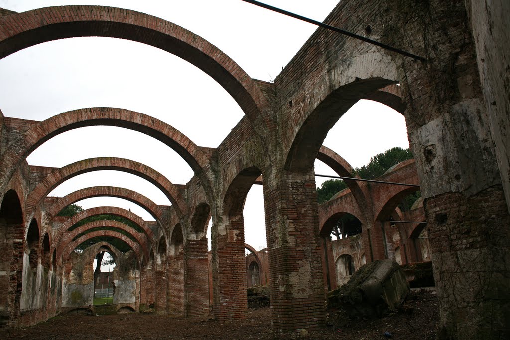 Arches