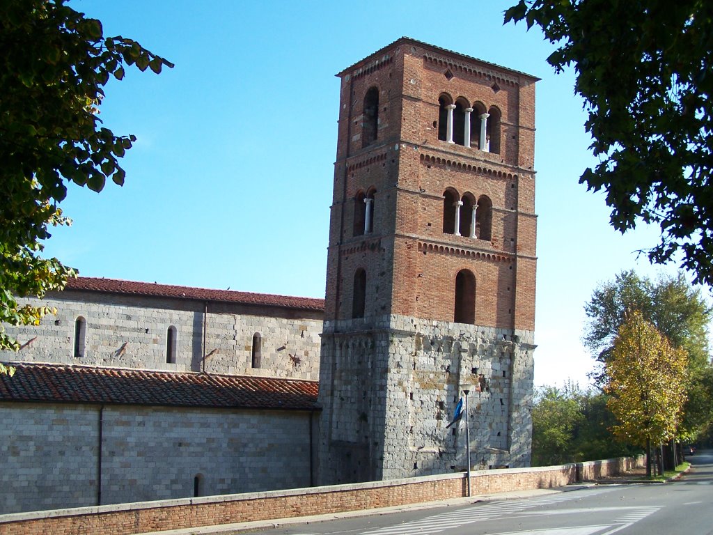 Lari