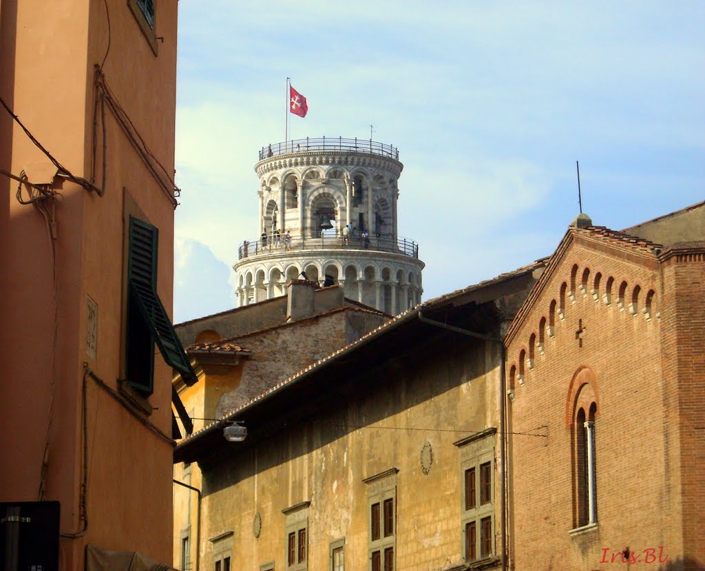 Lovely Pisa.......