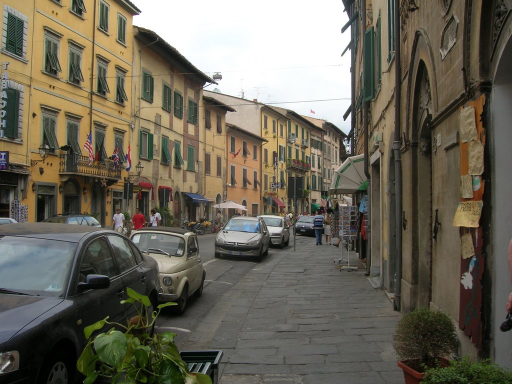 Pisa