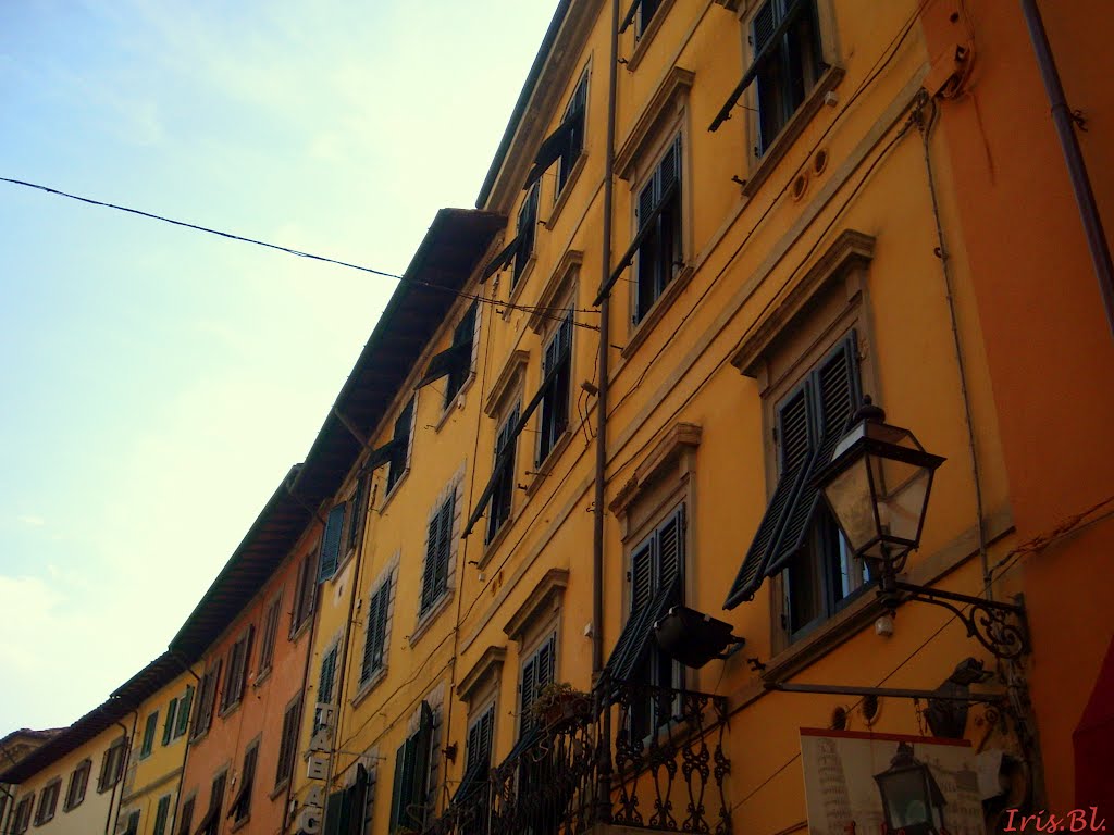 All those windows...