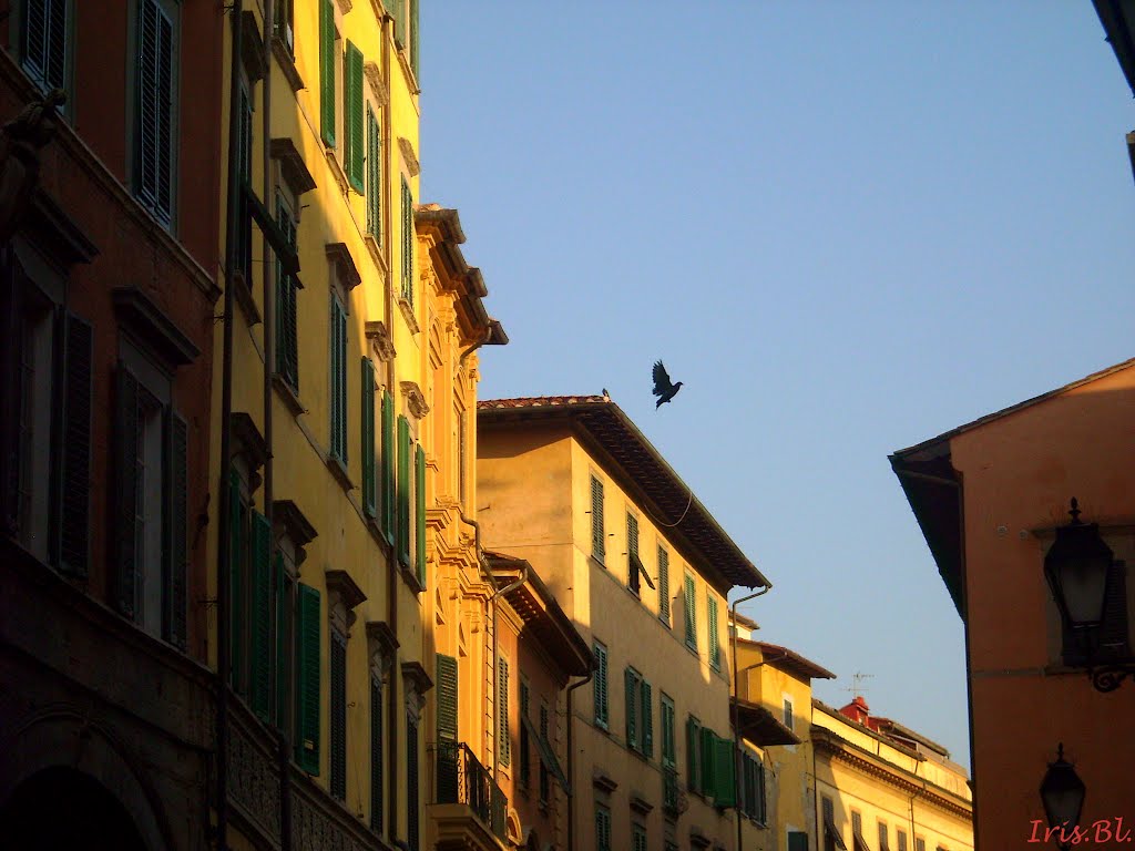 Fly me to Pisa...