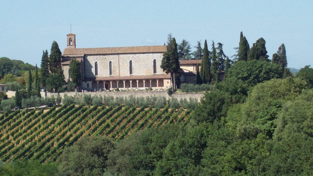 Basilica di San Lucchese dal Cassero della Fortezza