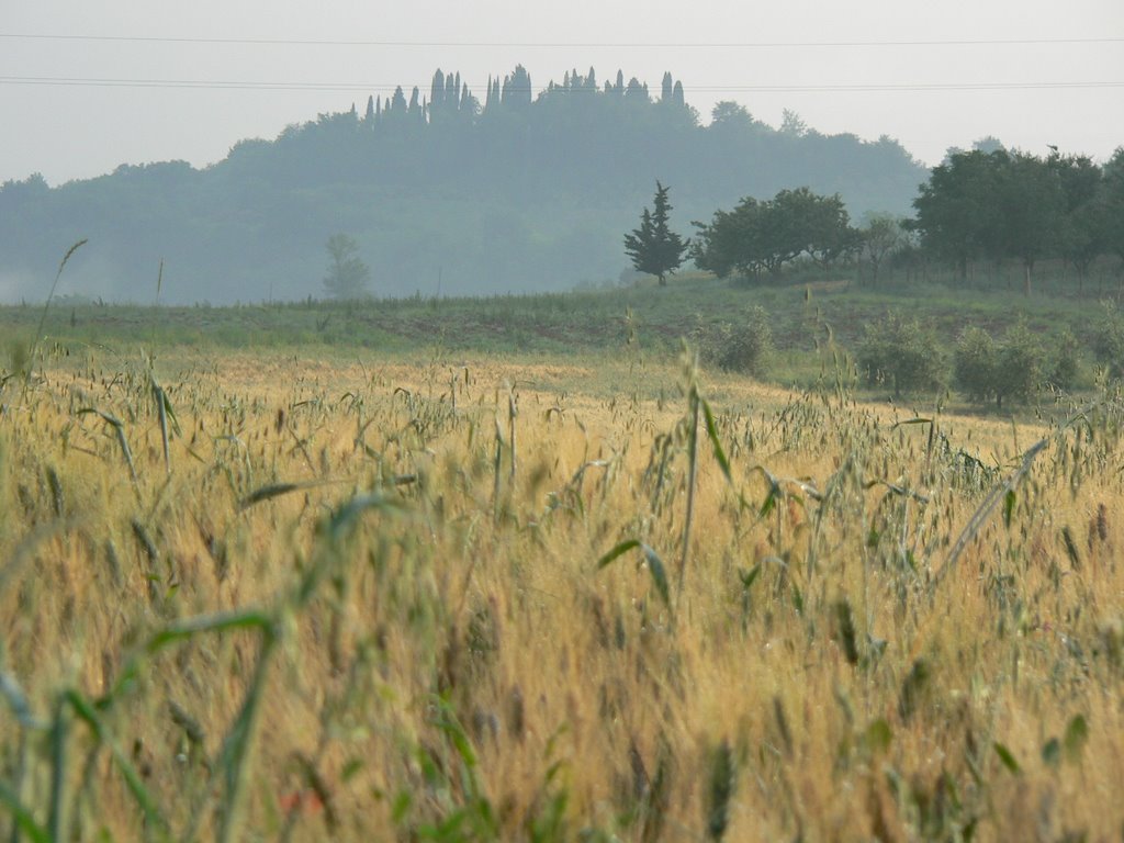 Tuscany