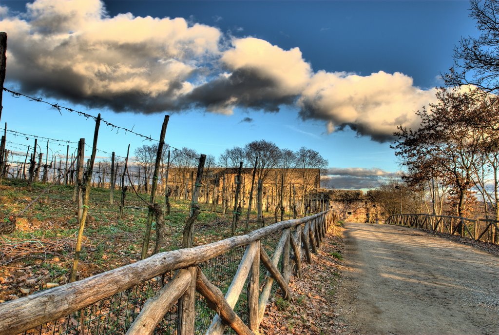 Il Cassero - Poggibonsi
