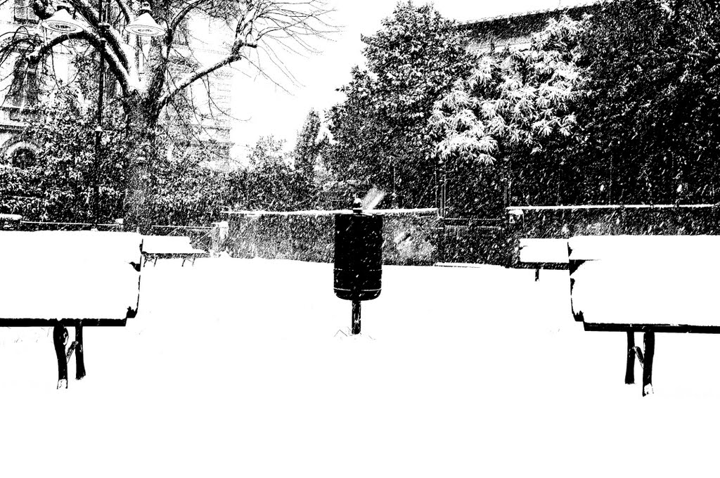 Neve in B&W