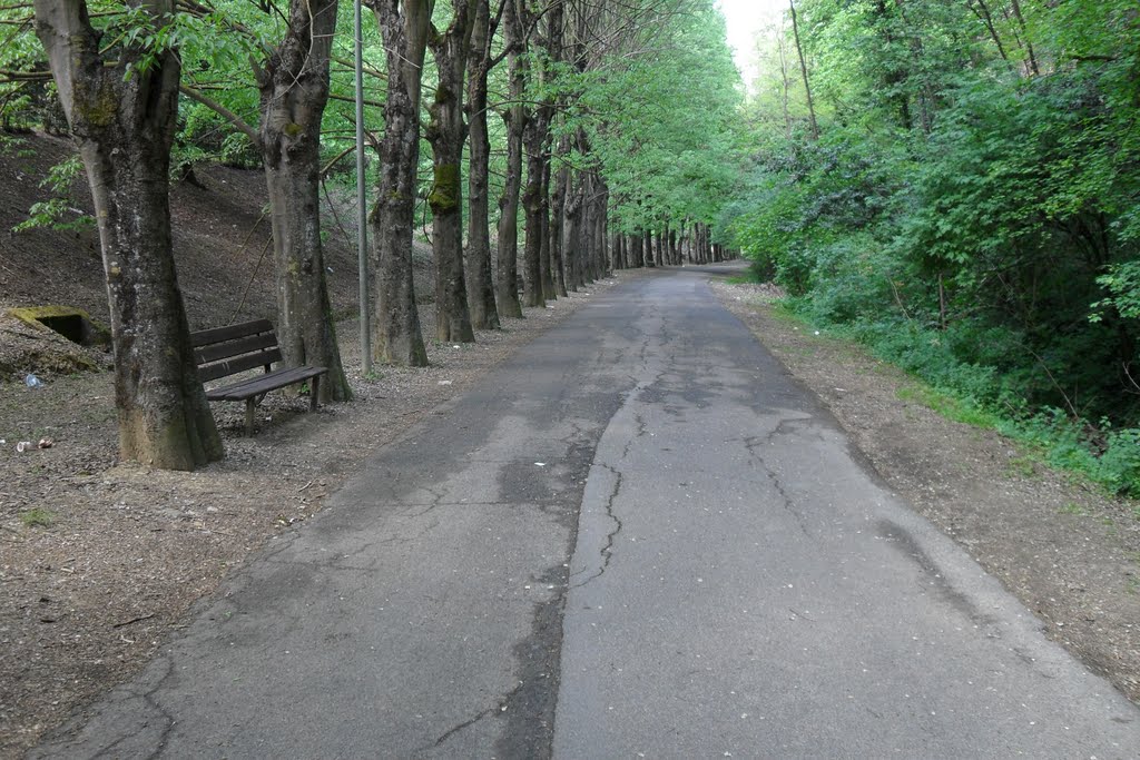 Vallone