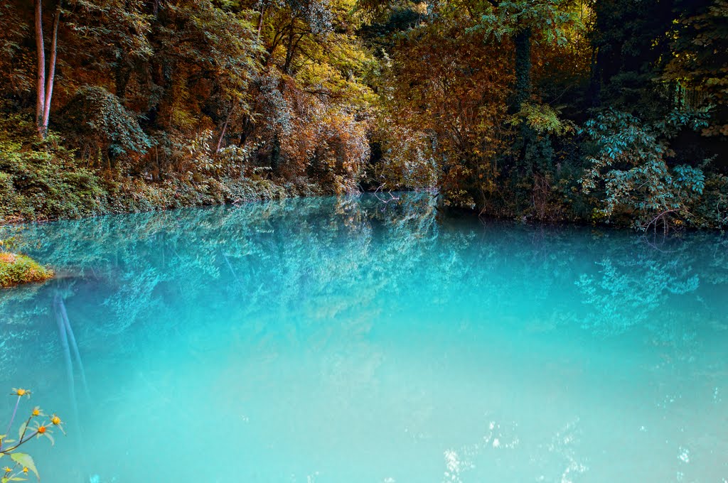 Sul fiume Elsa