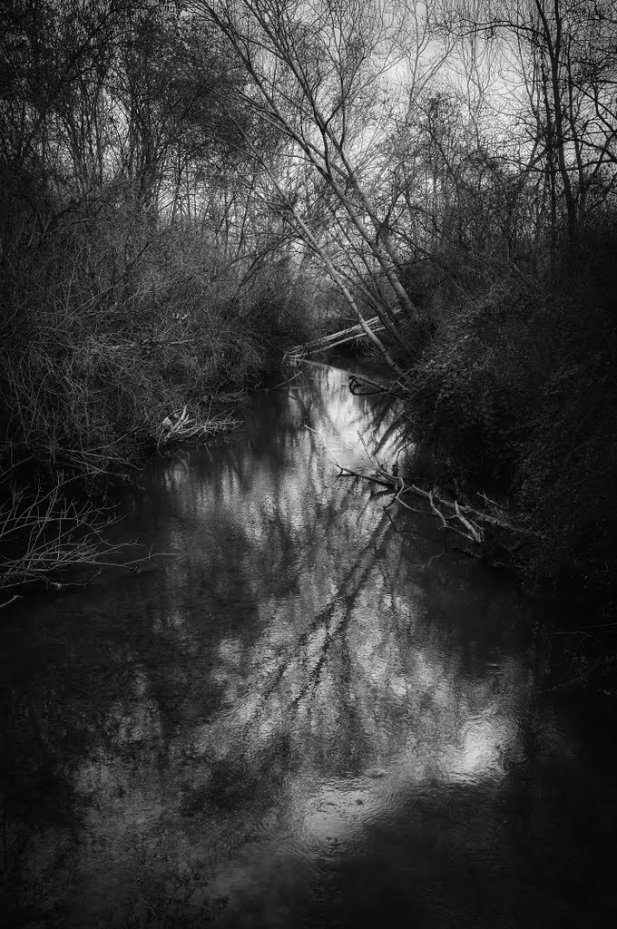 Autunno sul fiume Elsa