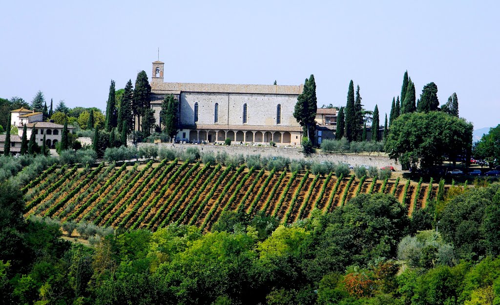 Basilica  San Luchese