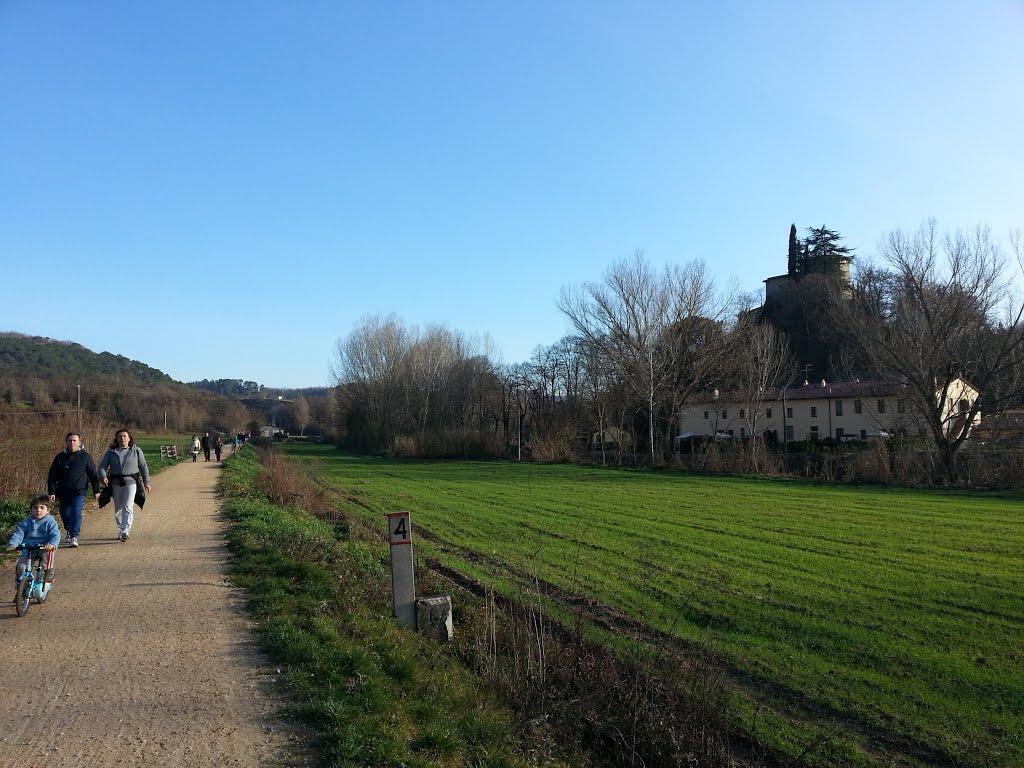 Rail trail