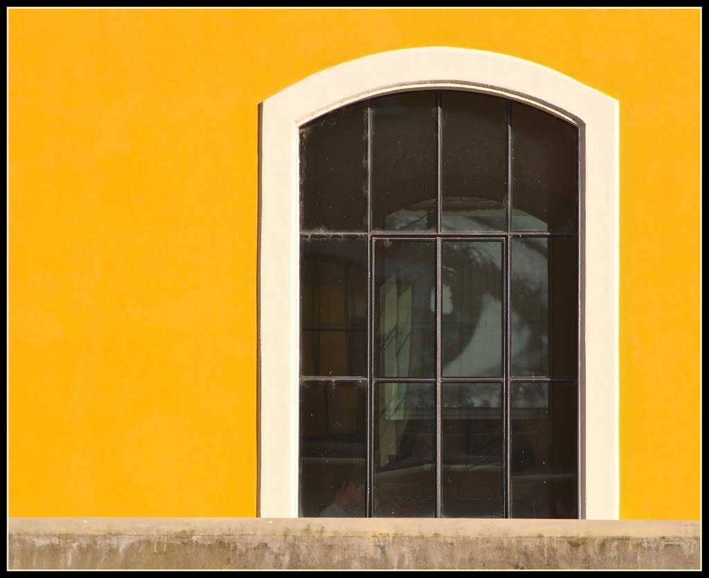 mi sento solo in mezzo alla gente / osservo tutto ma non tocco niente / mi sento strano e poco importante / quasi fossi trasparente..
