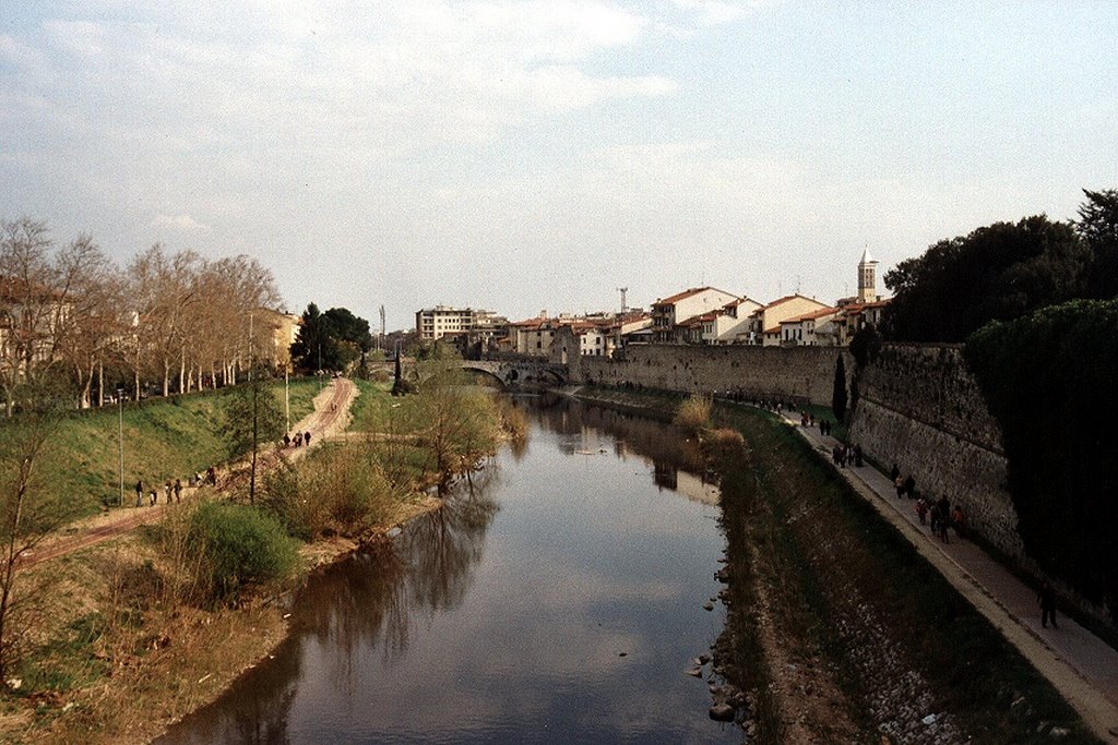 Bisenzio dal Ponte della Passerella