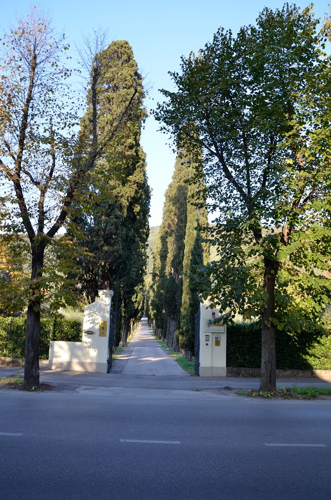 Limonaia - Prato