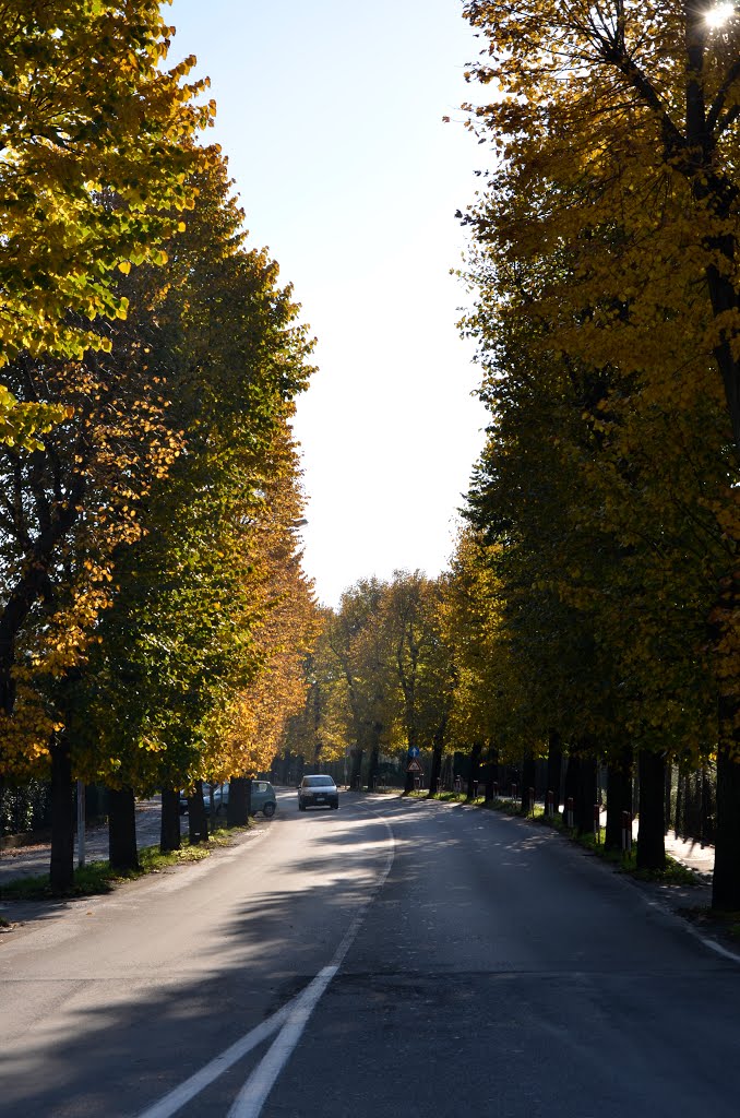 Autunno - via Firenze - Prato