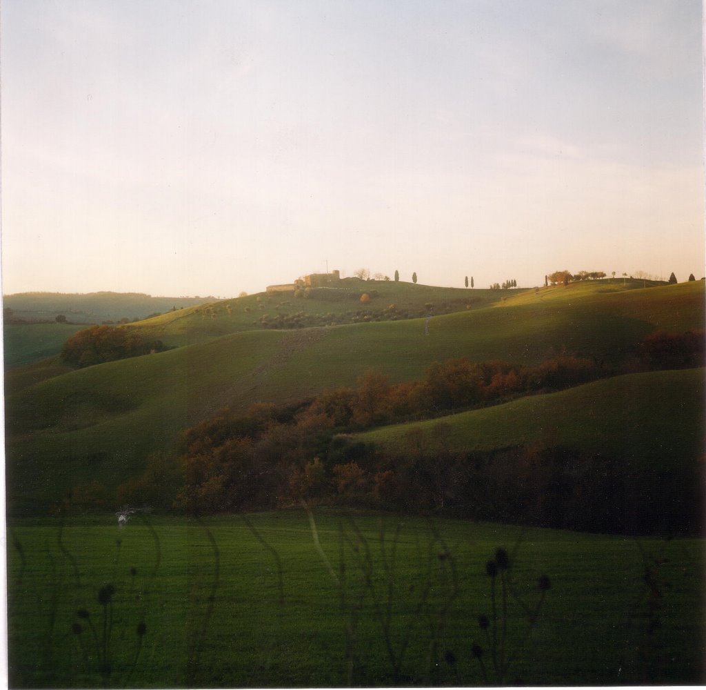 Torrita di Siena. Loc. Ciliano. Panorama