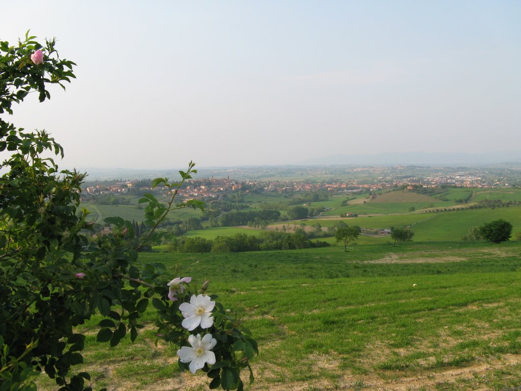 panorama: torrita e valdichiana