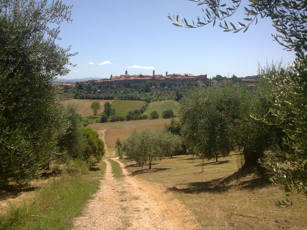 Panorama di Torrita di Siena