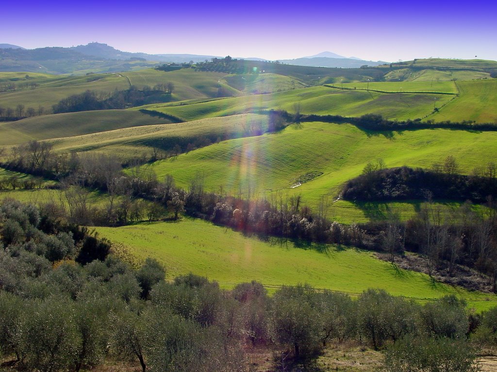 Montepulciano hills