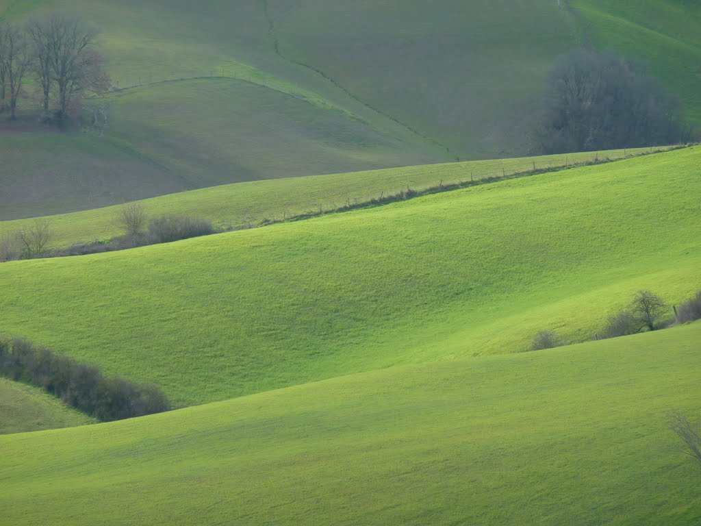 Greens
