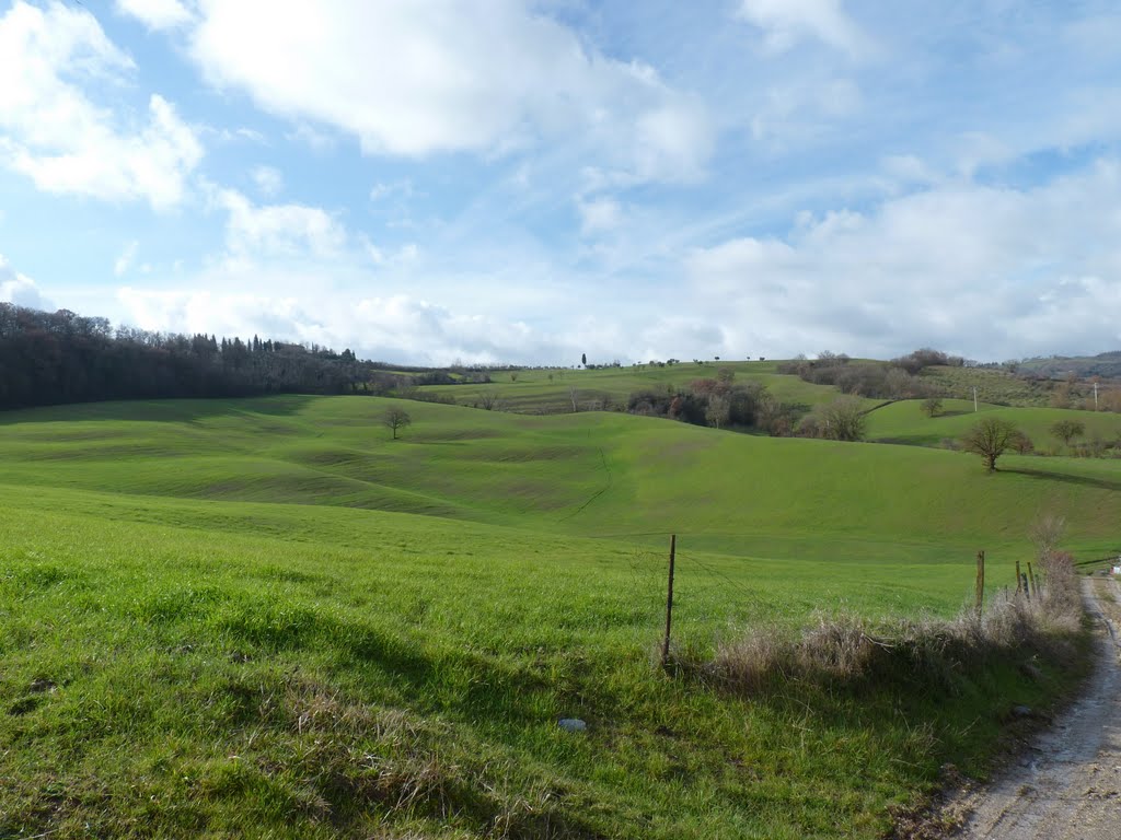 Verde e Nuvole