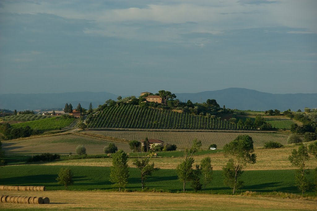 Toskańskie klimaty - okolice Torrity di Siena