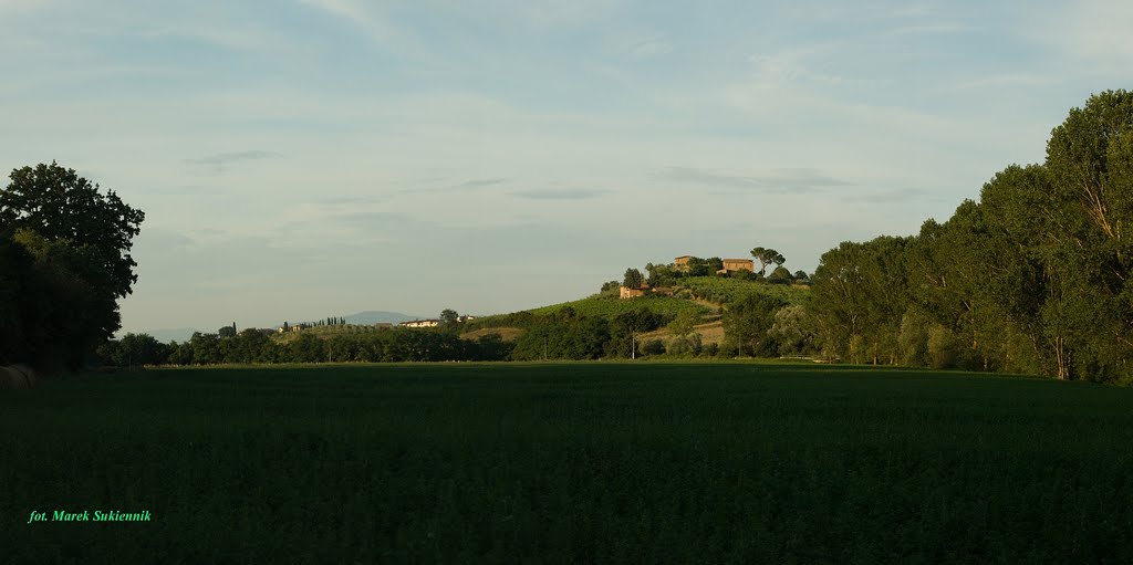 Toskańskie klimaty - okolice Torrity di Siena
