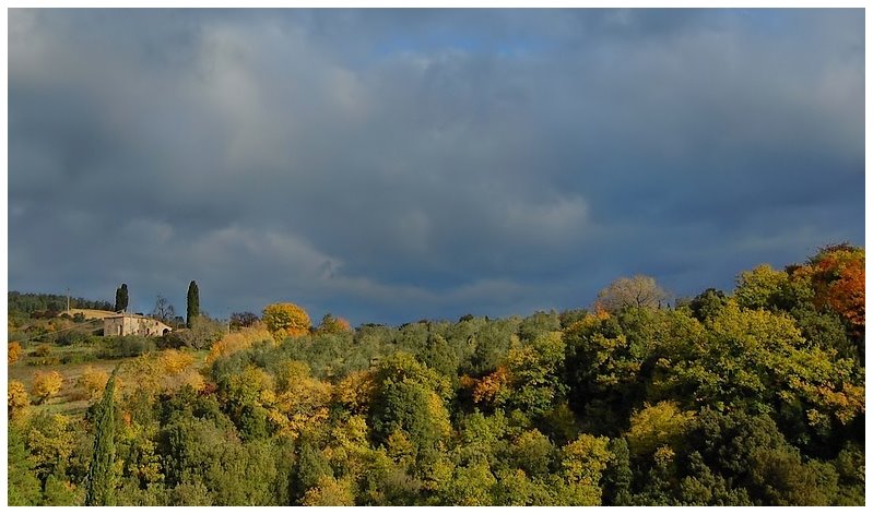 Torrita di Siena