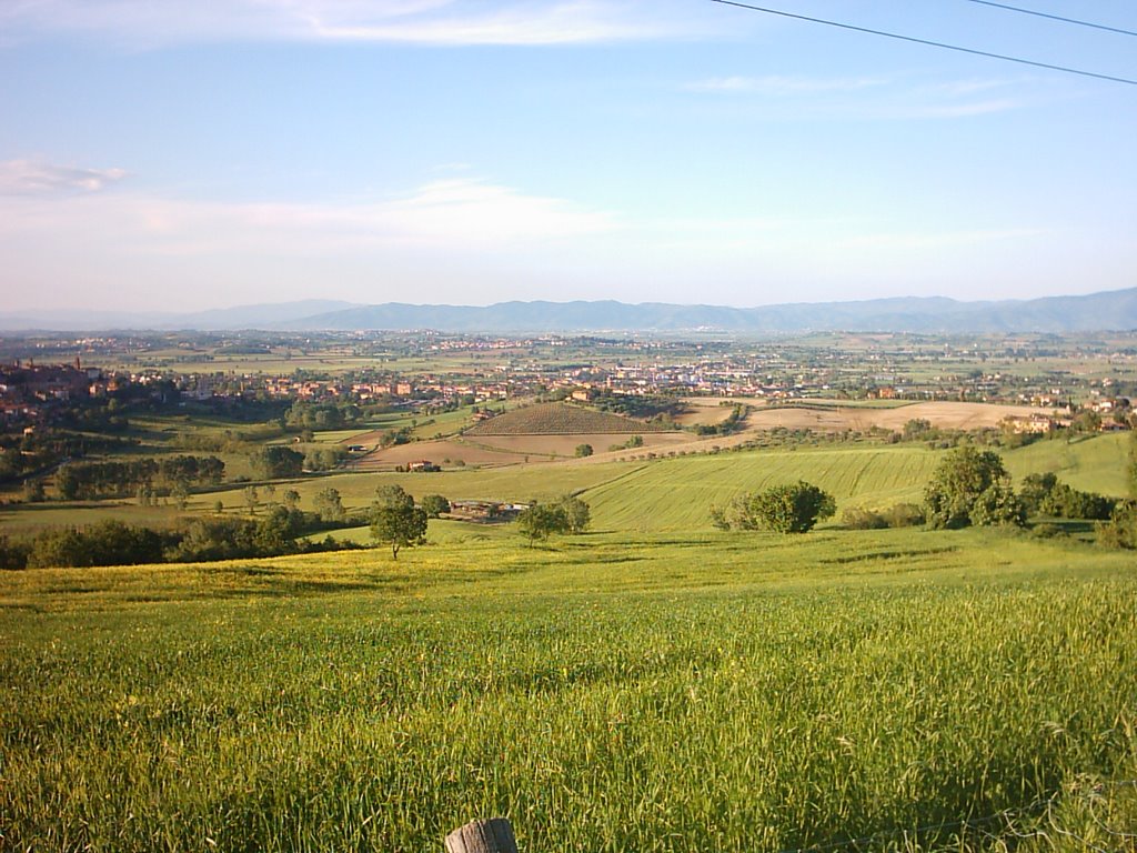 panorama1