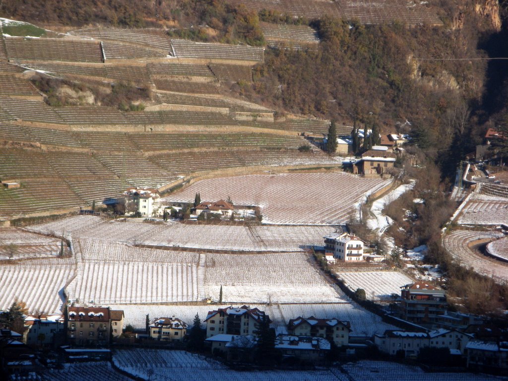 Vista dalla funivia Bolzano/Colle - Bozen/Kohlern