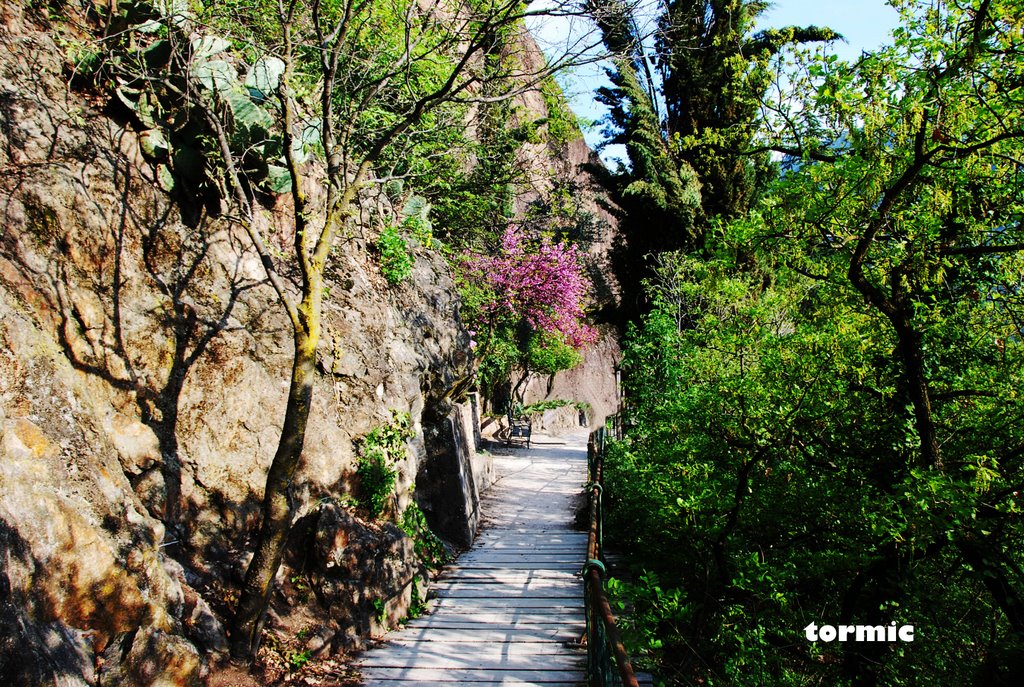Oswaldpromenade  Bozen