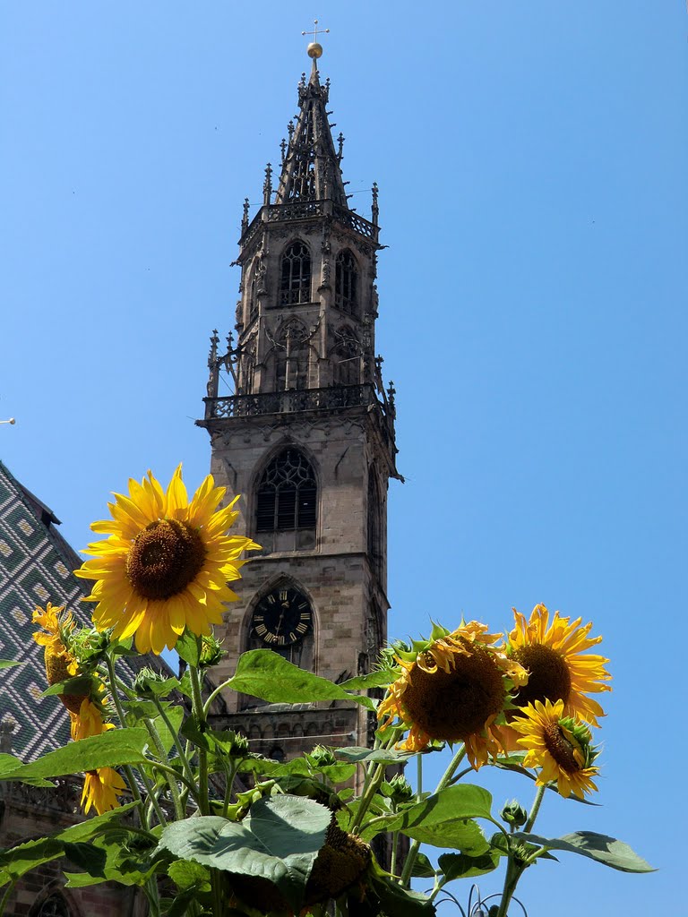 Dom in Bozen * Duomo di Bolzano