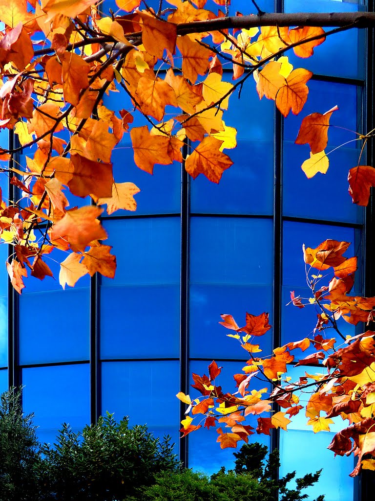 Autunno in città * Der Herbst in der Stadt