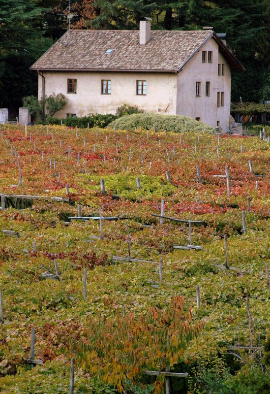 autunno