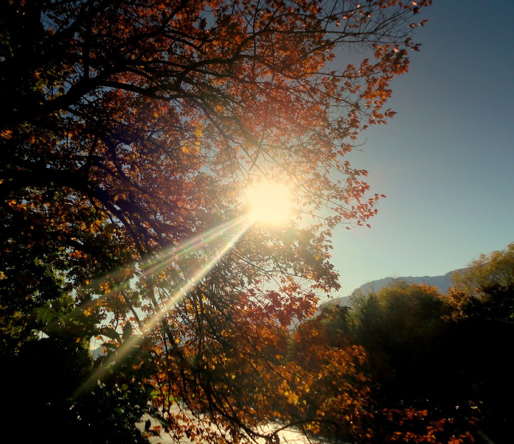Raggi di sole