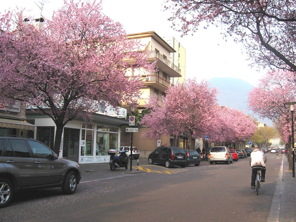 Merano