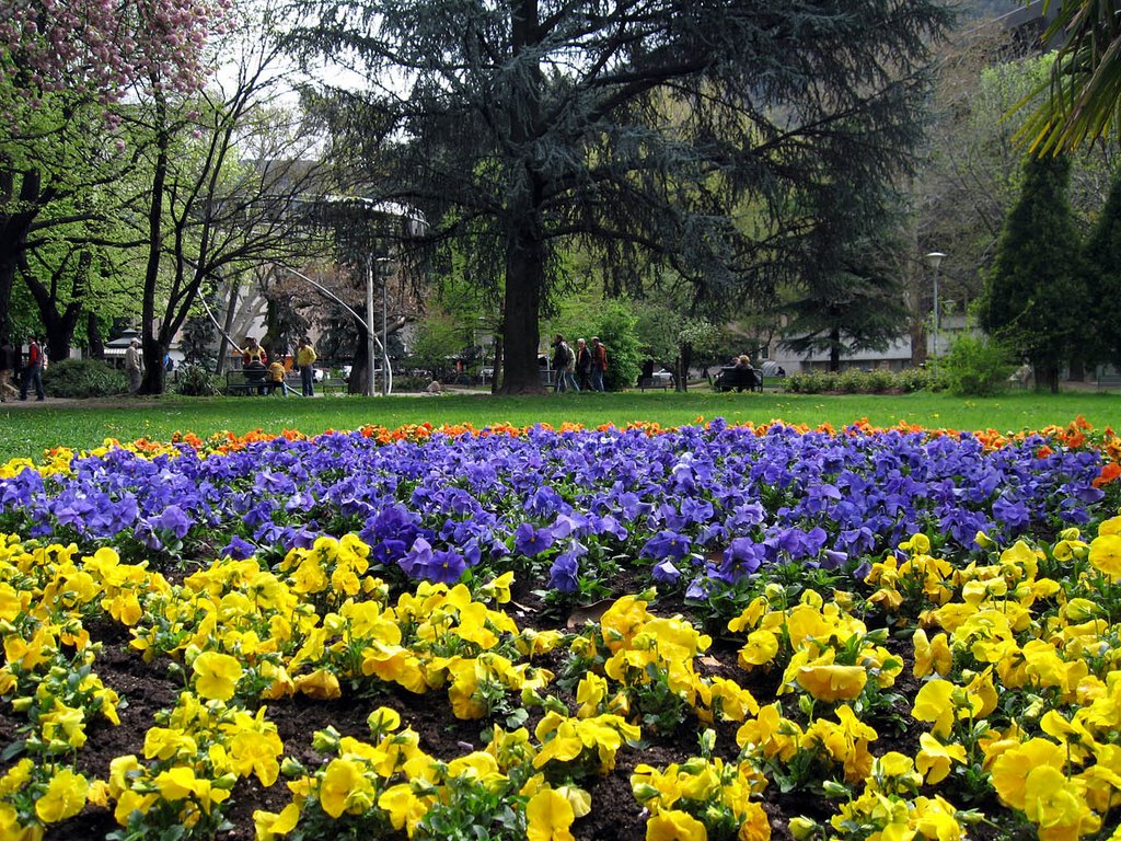 Bahnhofspark - giardini della stazione